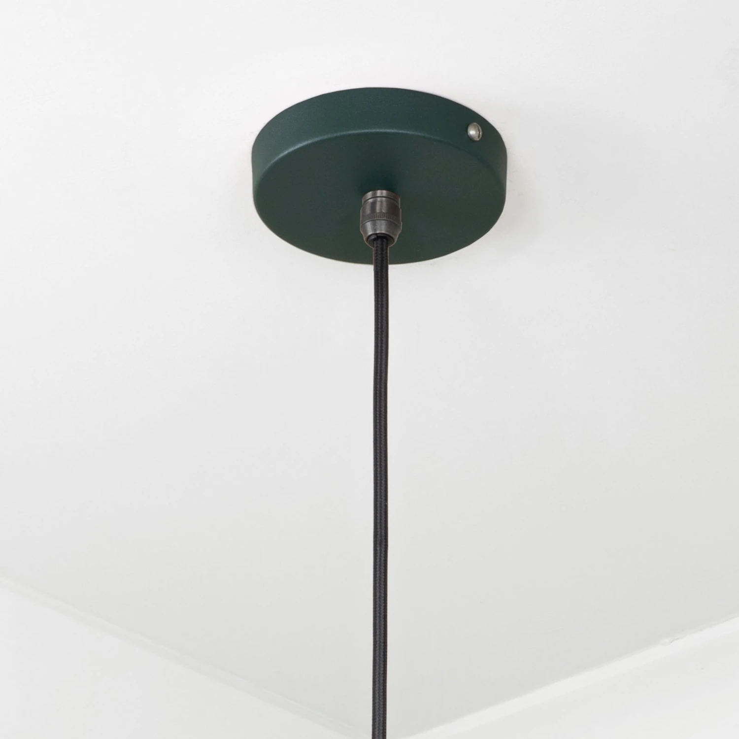 Flora Ceiling Light In Dingle 3 Flora Ceiling Light In Dingle - Image 3